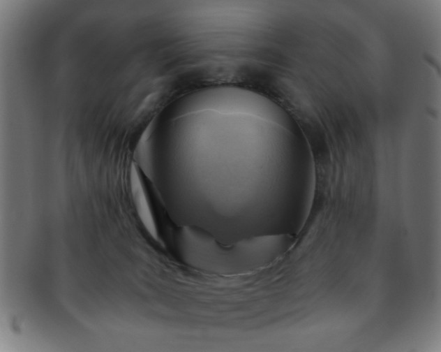 X0000091360035200708241320