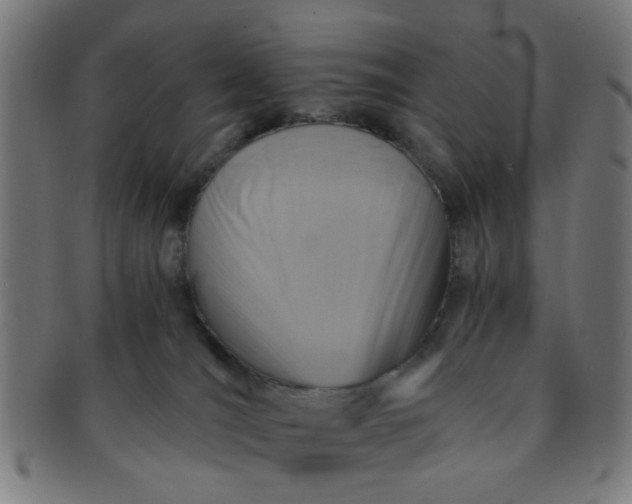 X0000091360036200708241320