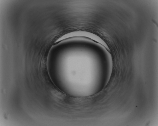 X0000091360037200708241320