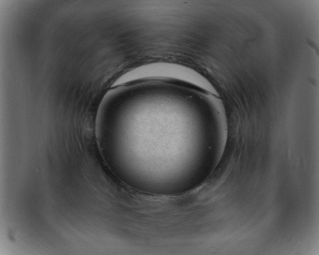 X0000091360040200708241320