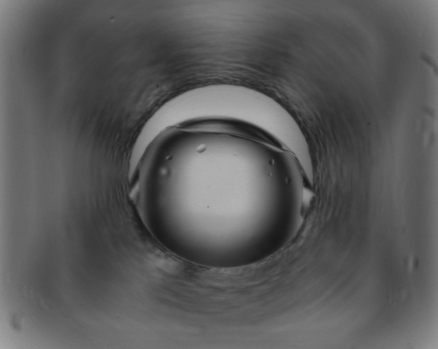 X0000091360041200708241320