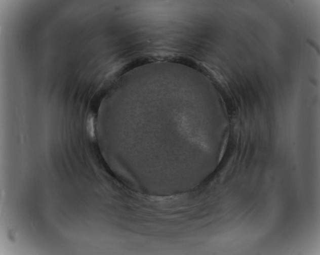 X0000091360042200708241320
