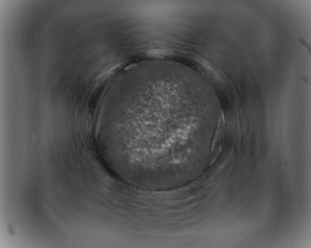 X0000091360043200708241320