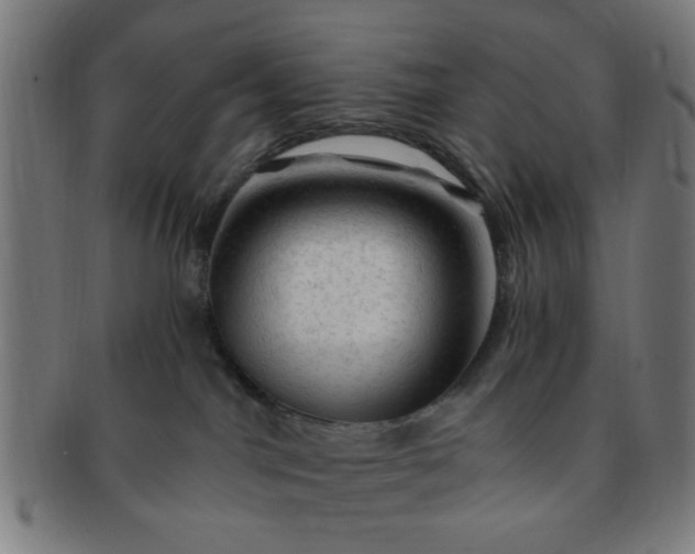 X0000091360044200708241320