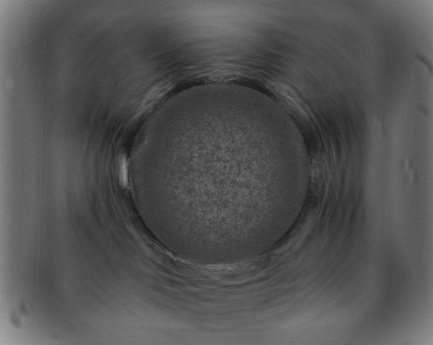 X0000091360046200708241320