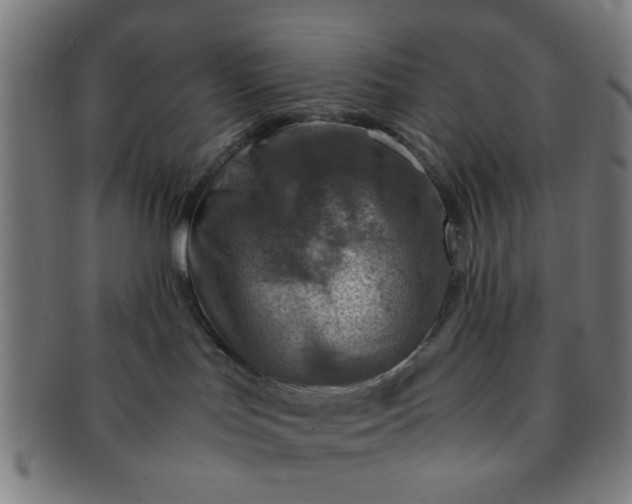 X0000091360047200708241320