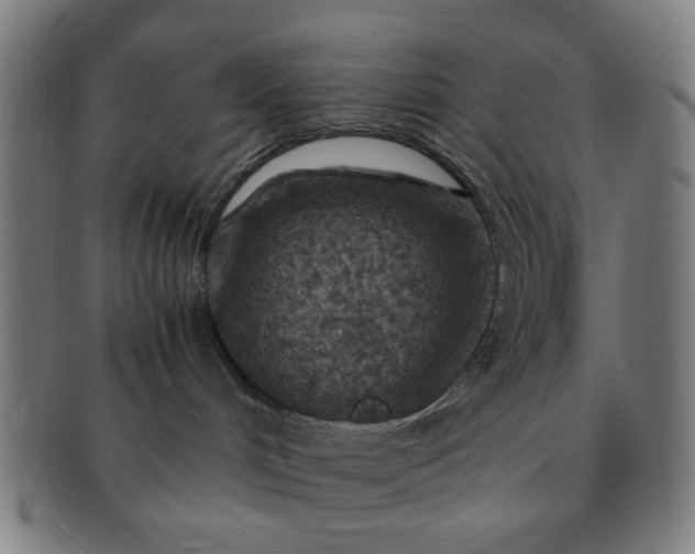X0000091360048200708241320