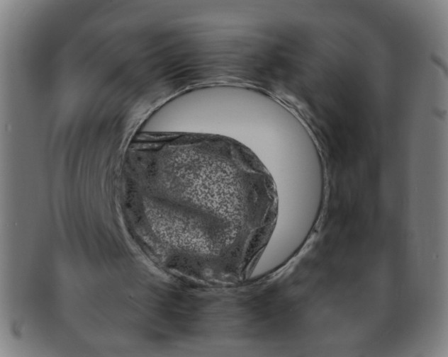 X0000091360049200708241319