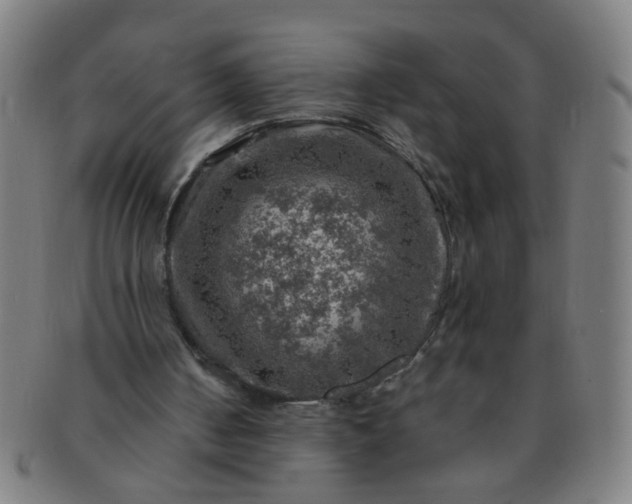 X0000091360050200708241319