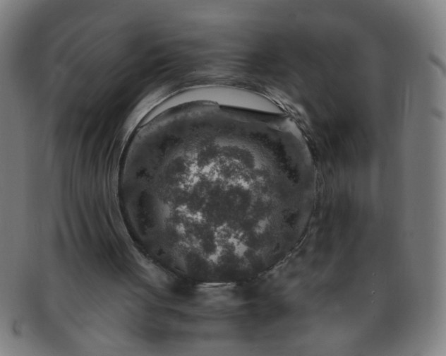 X0000091360051200708241319