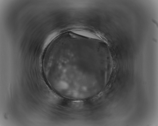 X0000091360053200708241319