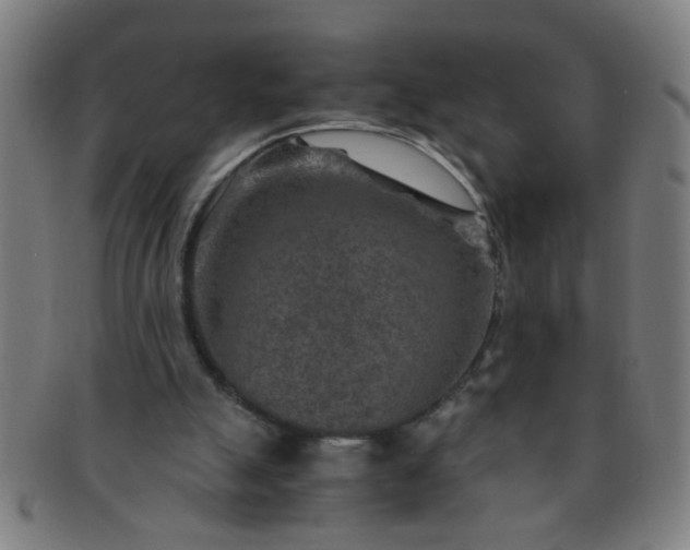 X0000091360055200708241319
