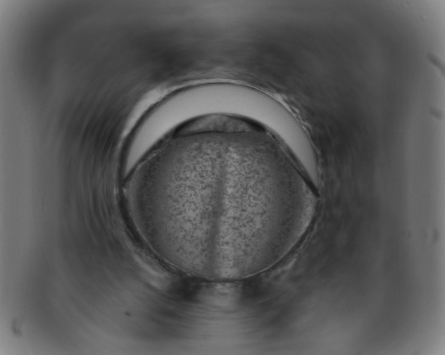 X0000091360056200708241319