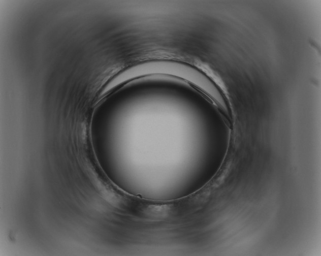 X0000091360057200708241319