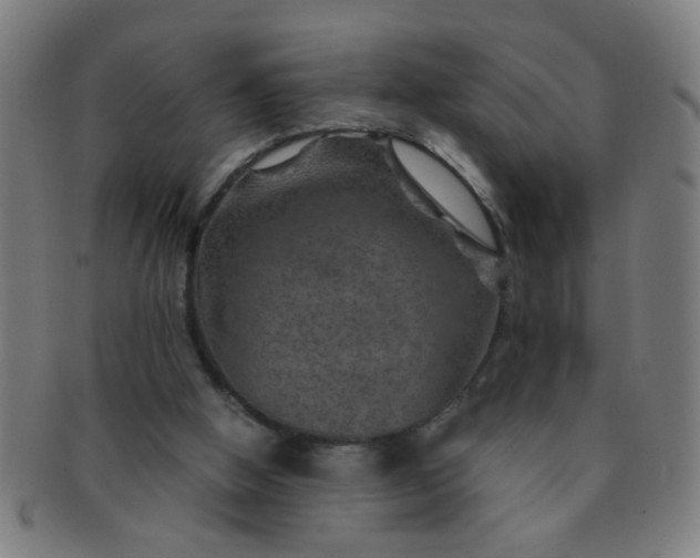 X0000091360058200708241319