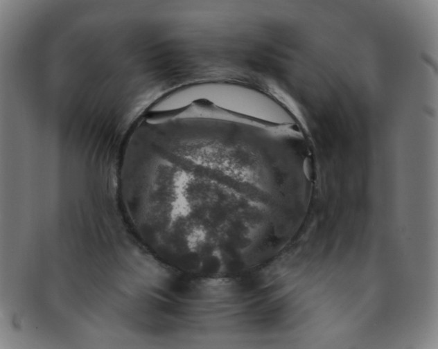 X0000091360059200708241319