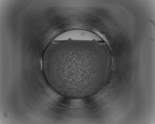 X0000091360061200708241319