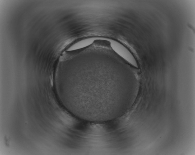 X0000091360062200708241319