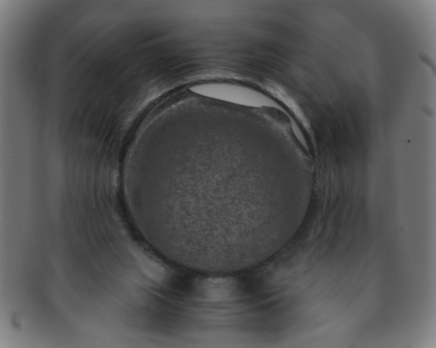 X0000091360063200708241319