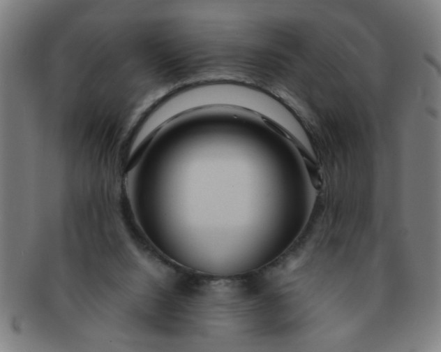 X0000091360064200708241319