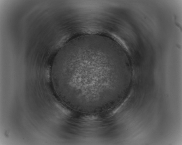 X0000091360065200708241319