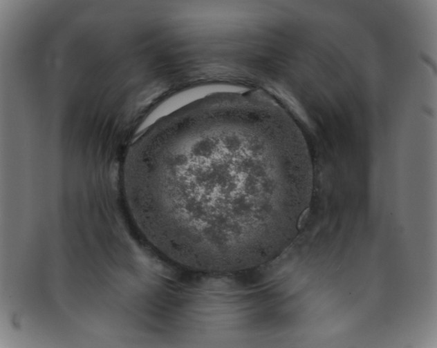 X0000091360066200708241320