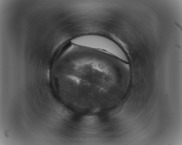 X0000091360067200708241320
