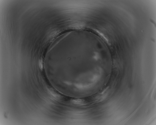 X0000091360069200708241320