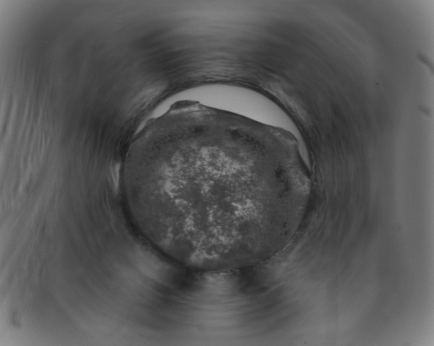 X0000091360070200708241320