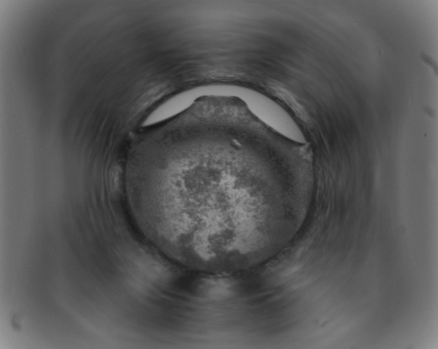 X0000091360071200708241320