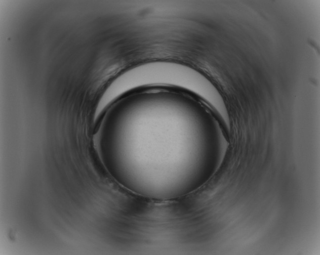 X0000091360072200708241320
