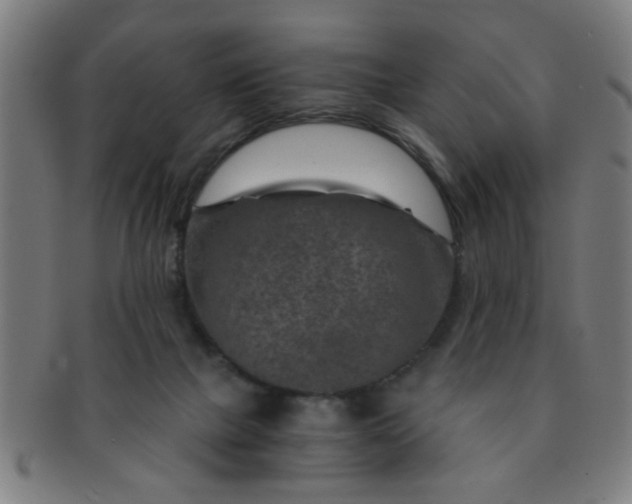 X0000091360073200708241320