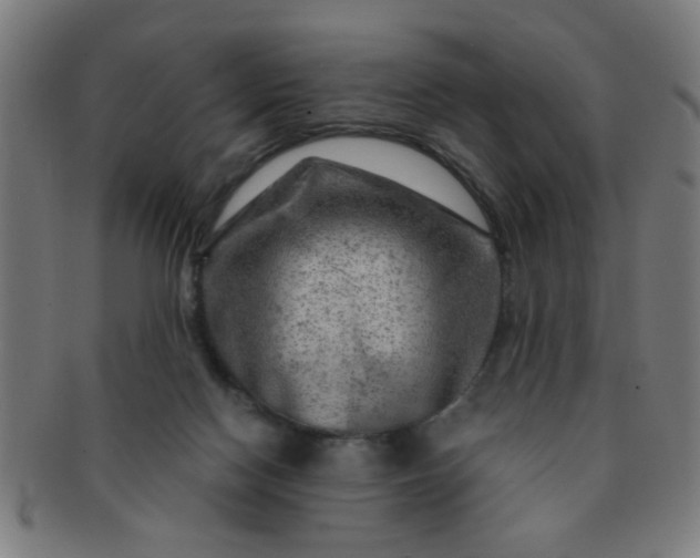X0000091360074200708241320