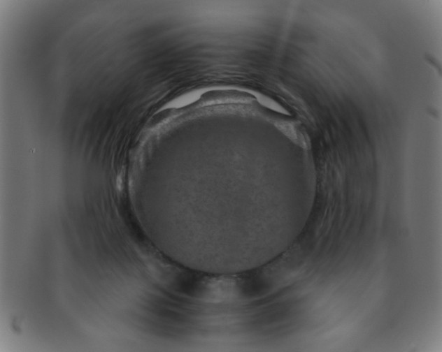 X0000091360075200708241320