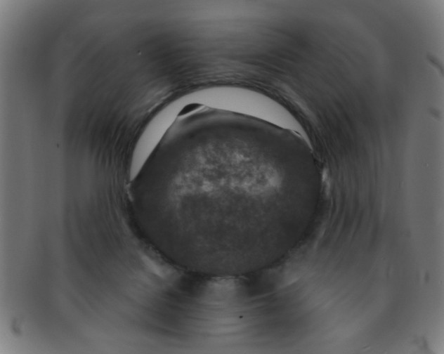 X0000091360076200708241320