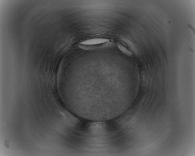 X0000091360077200708241320