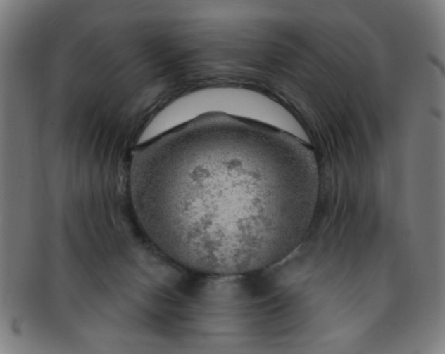 X0000091360078200708241320
