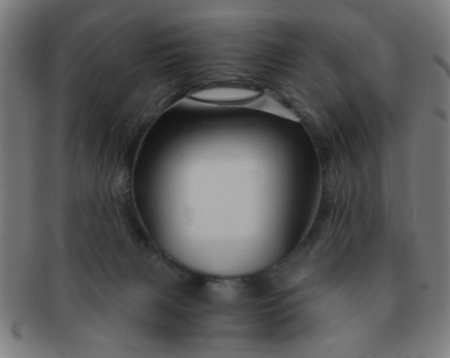 X0000091360079200708241320
