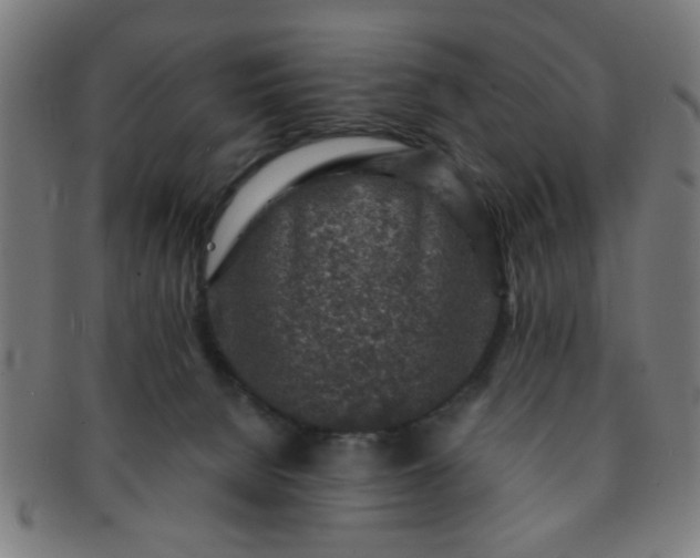 X0000091360080200708241320
