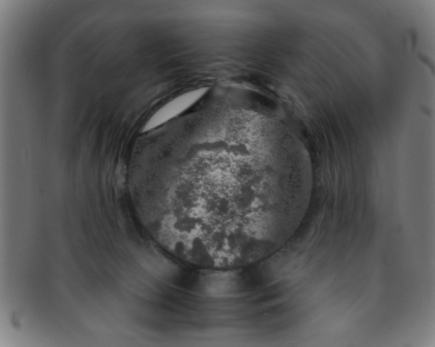 X0000091360081200708241320