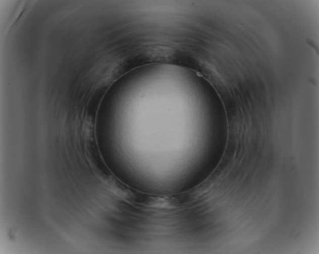 X0000091360083200708241320