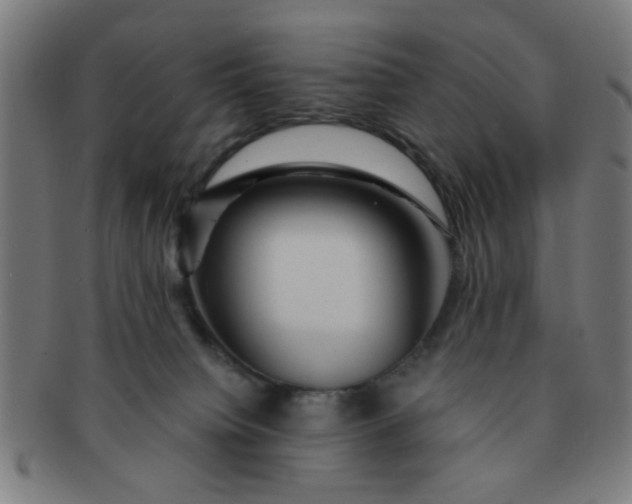 X0000091360084200708241320
