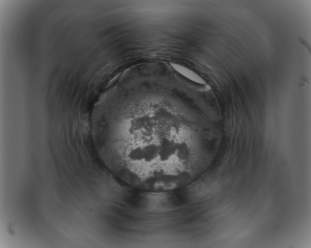 X0000091360085200708241320