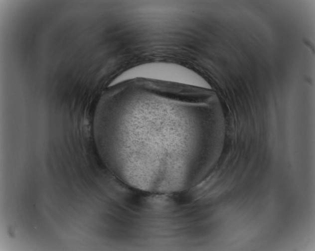 X0000091360086200708241320