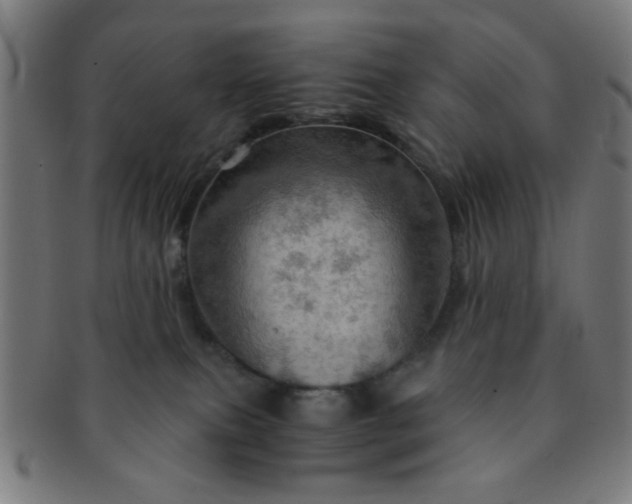 X0000091360087200708241320