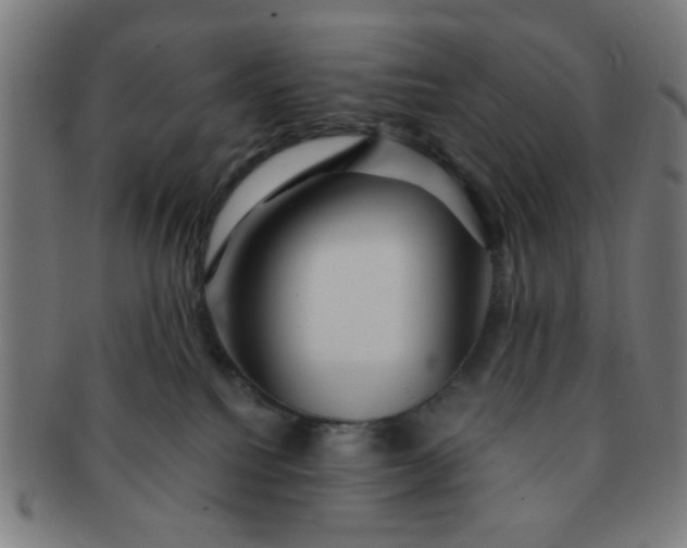 X0000091360088200708241320