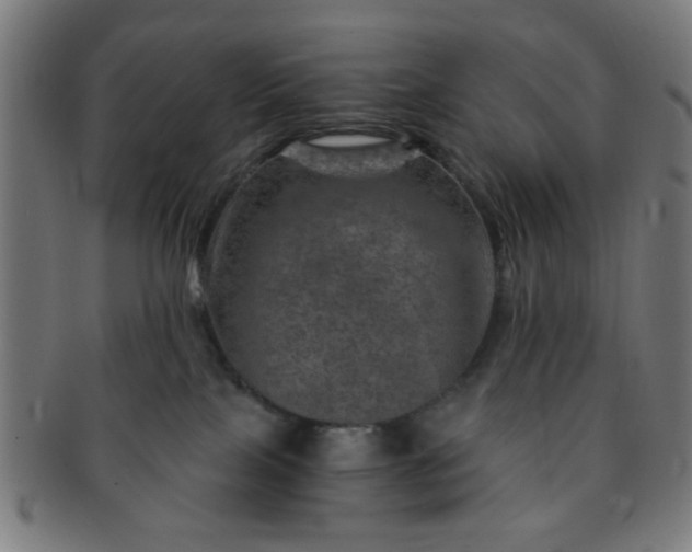 X0000091360089200708241320