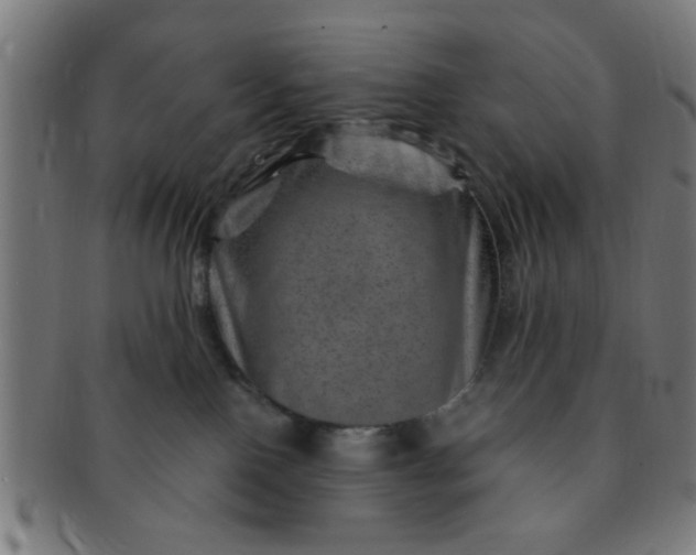 X0000091360090200708241320