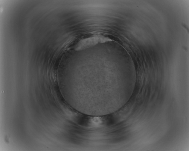 X0000091360091200708241320
