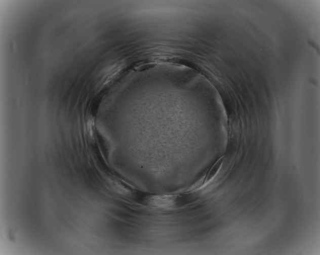 X0000091360094200708241320